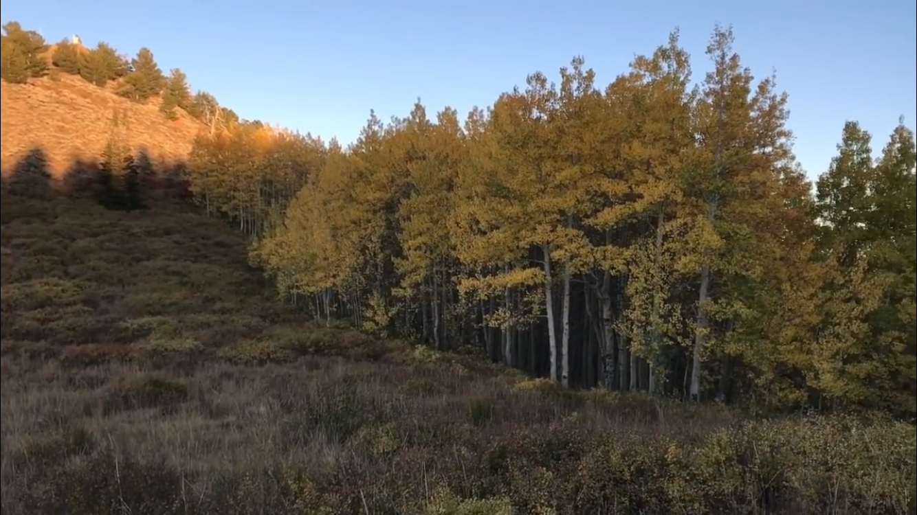 Camper-submitted photo at Millcreek Canyon Dispersed Camping near Murray, UT