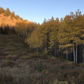Review photo of Millcreek Canyon Dispersed Camping by Derek E., June 3, 2019