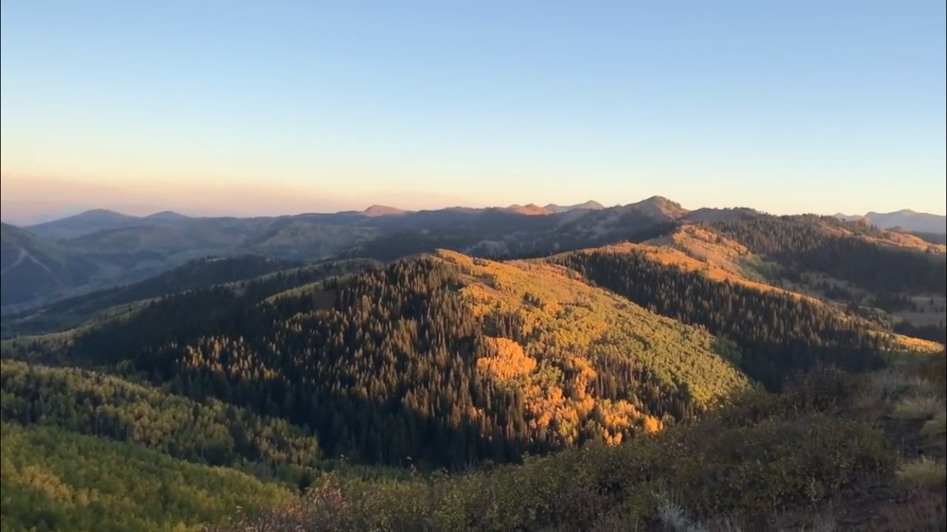 Camper-submitted photo at Millcreek Canyon Dispersed Camping near Murray, UT