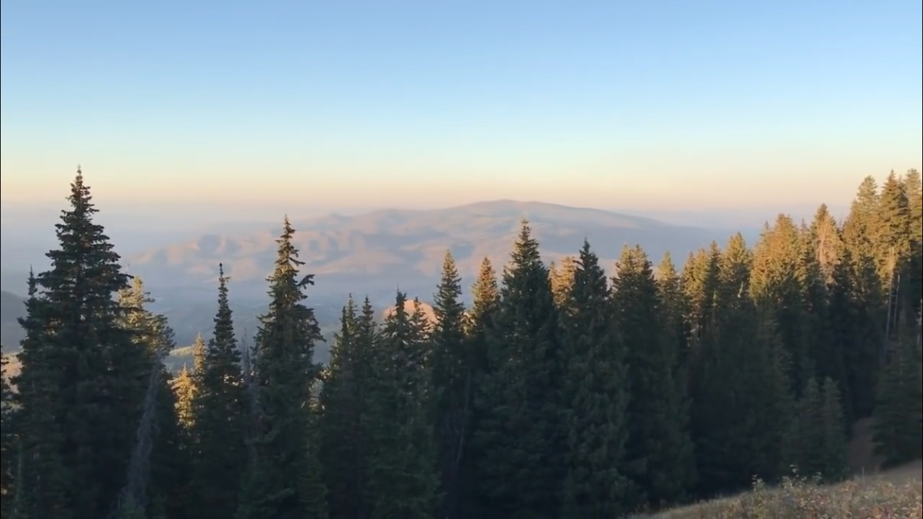 Camper-submitted photo at Millcreek Canyon Dispersed Camping near Murray, UT