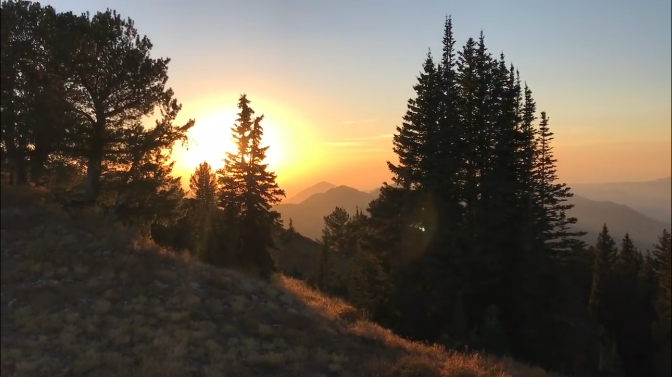 Camper-submitted photo at Millcreek Canyon Dispersed Camping near Murray, UT