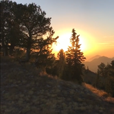 Review photo of Millcreek Canyon Dispersed Camping by Derek E., June 3, 2019