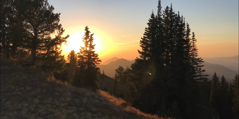 Camper submitted image from Millcreek Canyon Dispersed Camping