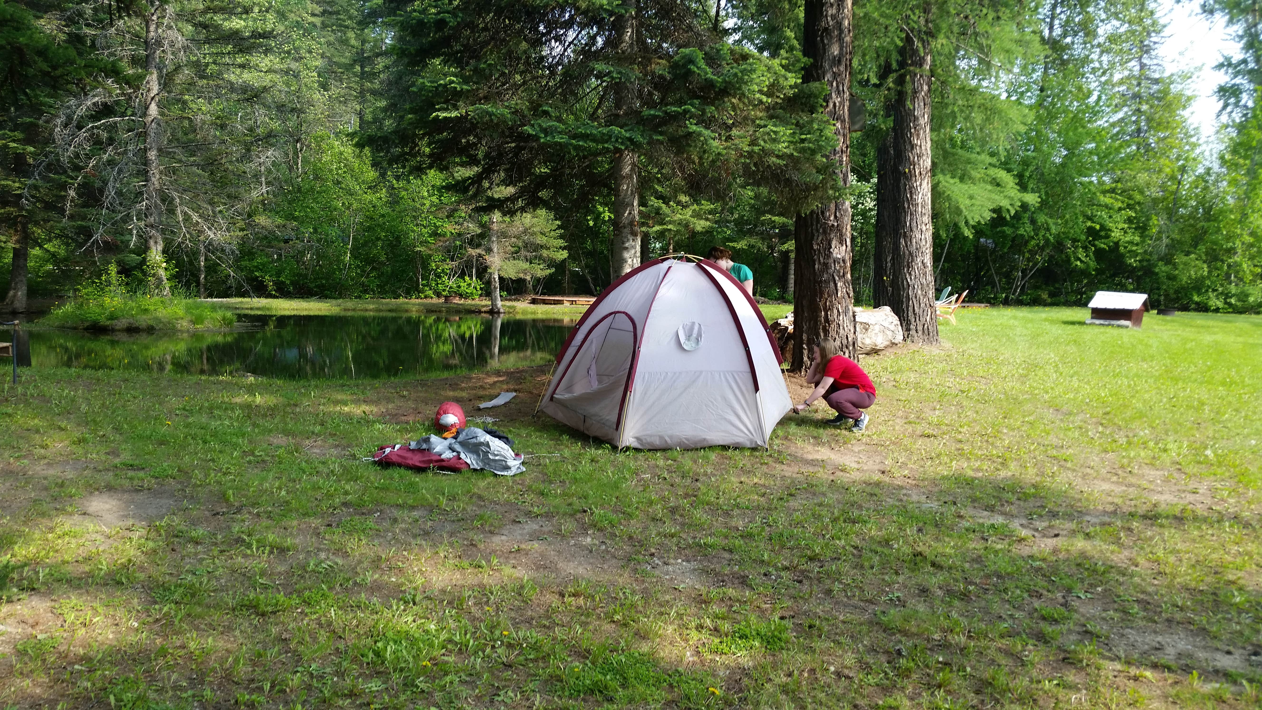 Dexter I.'s photo at Swan Lake Trading Post & Campground near Flathead National Forest