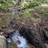 Review photo of Woodside Campground — Salt Point State Park by Cameron B., June 3, 2019