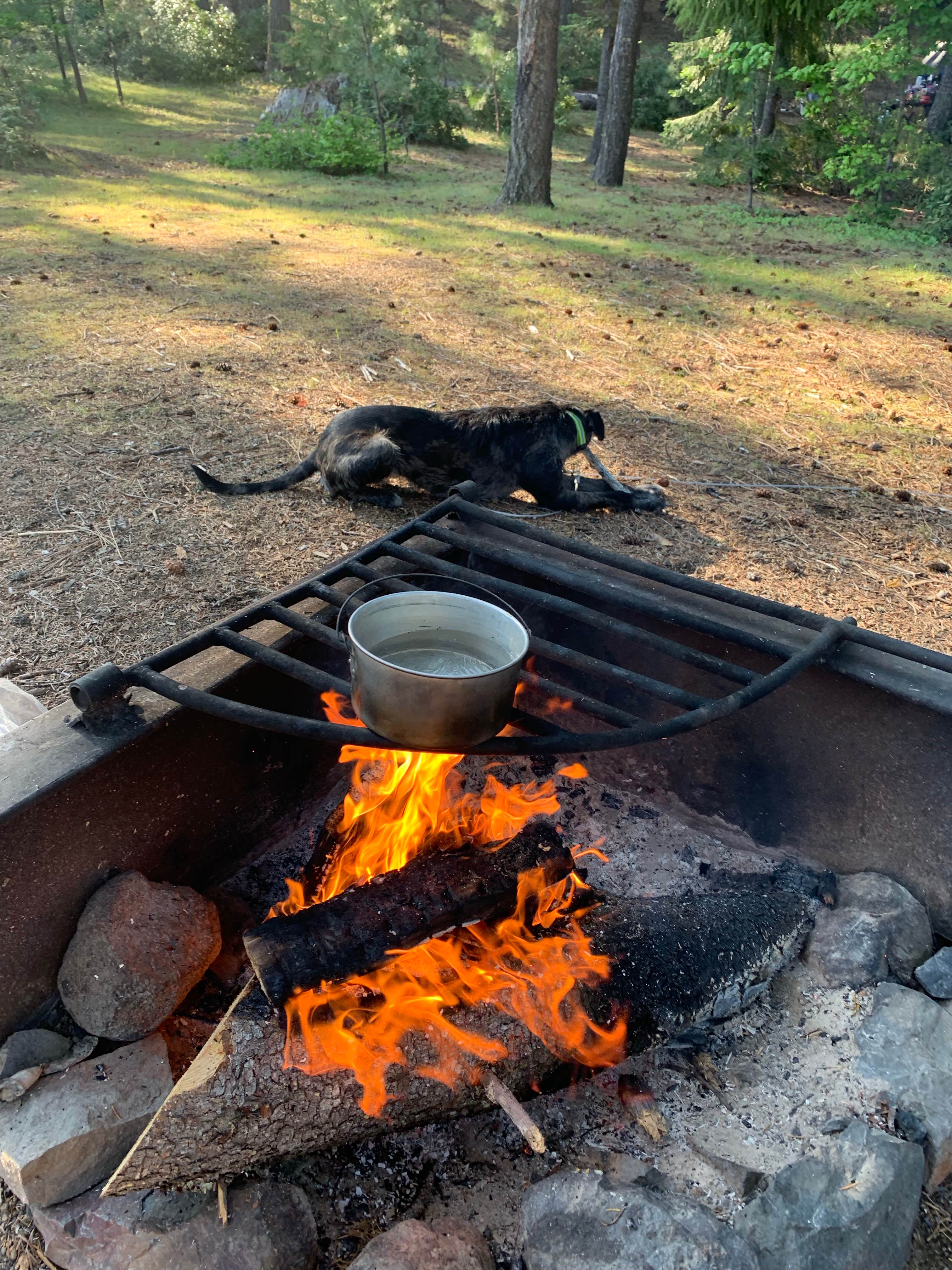 Ryan F.'s photo of camping with pets at Blue Bay near Cloverdale, OR