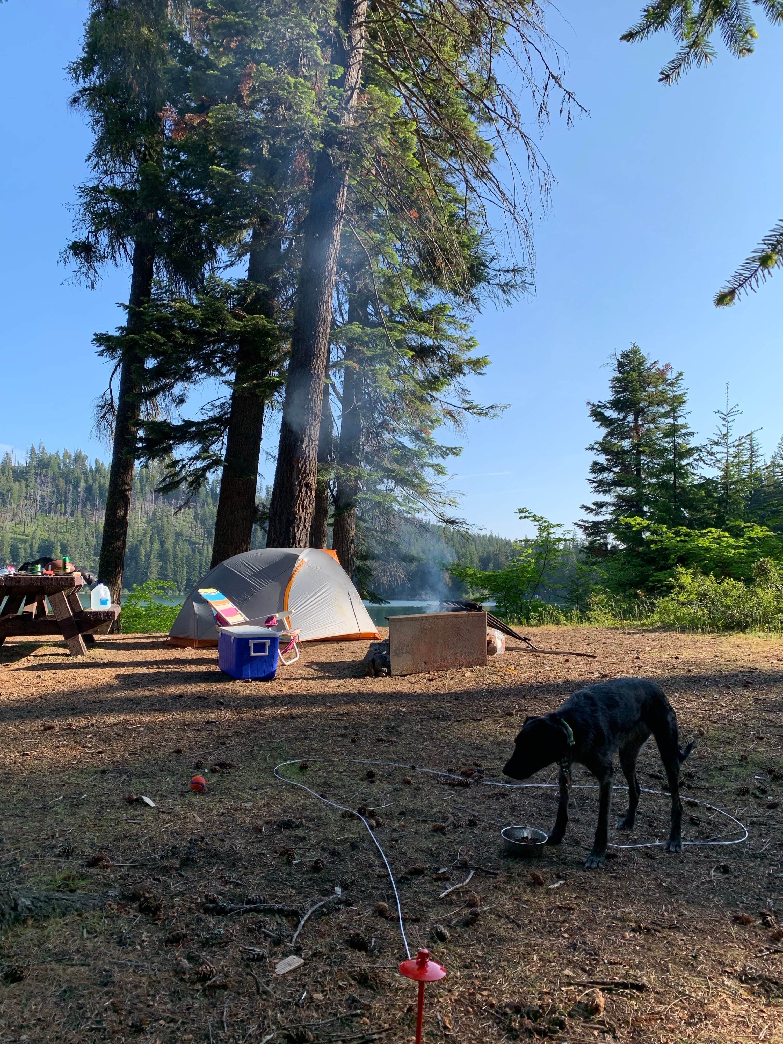 Ryan F.'s photo at Blue Bay near Camp Sherman, OR