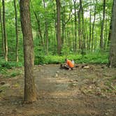 Review photo of French Creek State Park Campground by Jen R., June 3, 2019