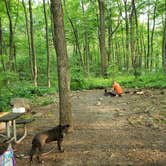 Review photo of French Creek State Park Campground by Jen R., June 3, 2019