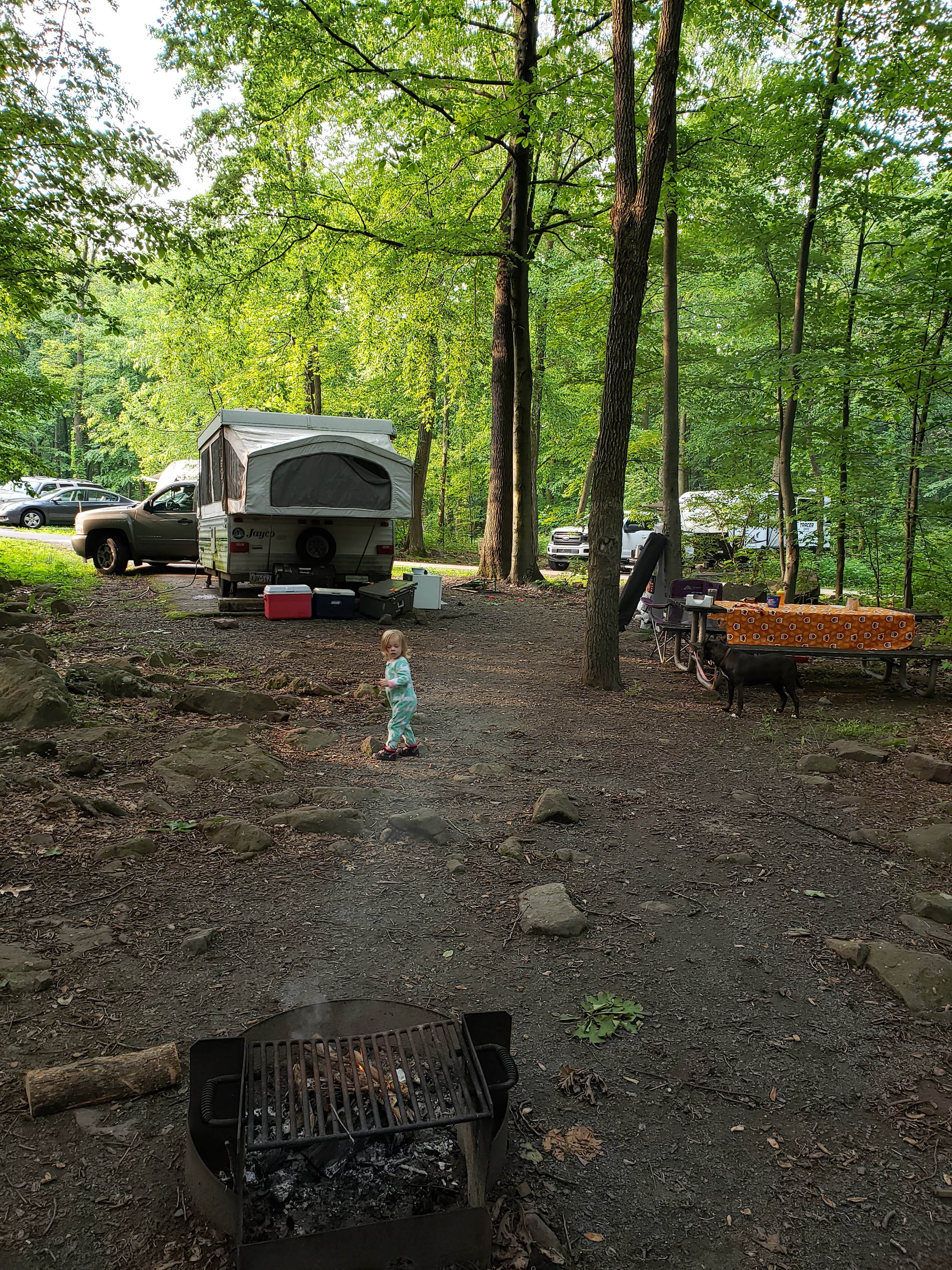 Jen R.'s photo at French Creek State Park Campground near Pottstown, PA