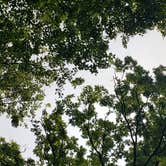 Review photo of French Creek State Park Campground by Jen R., June 3, 2019
