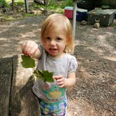 Review photo of French Creek State Park Campground by Jen R., June 3, 2019