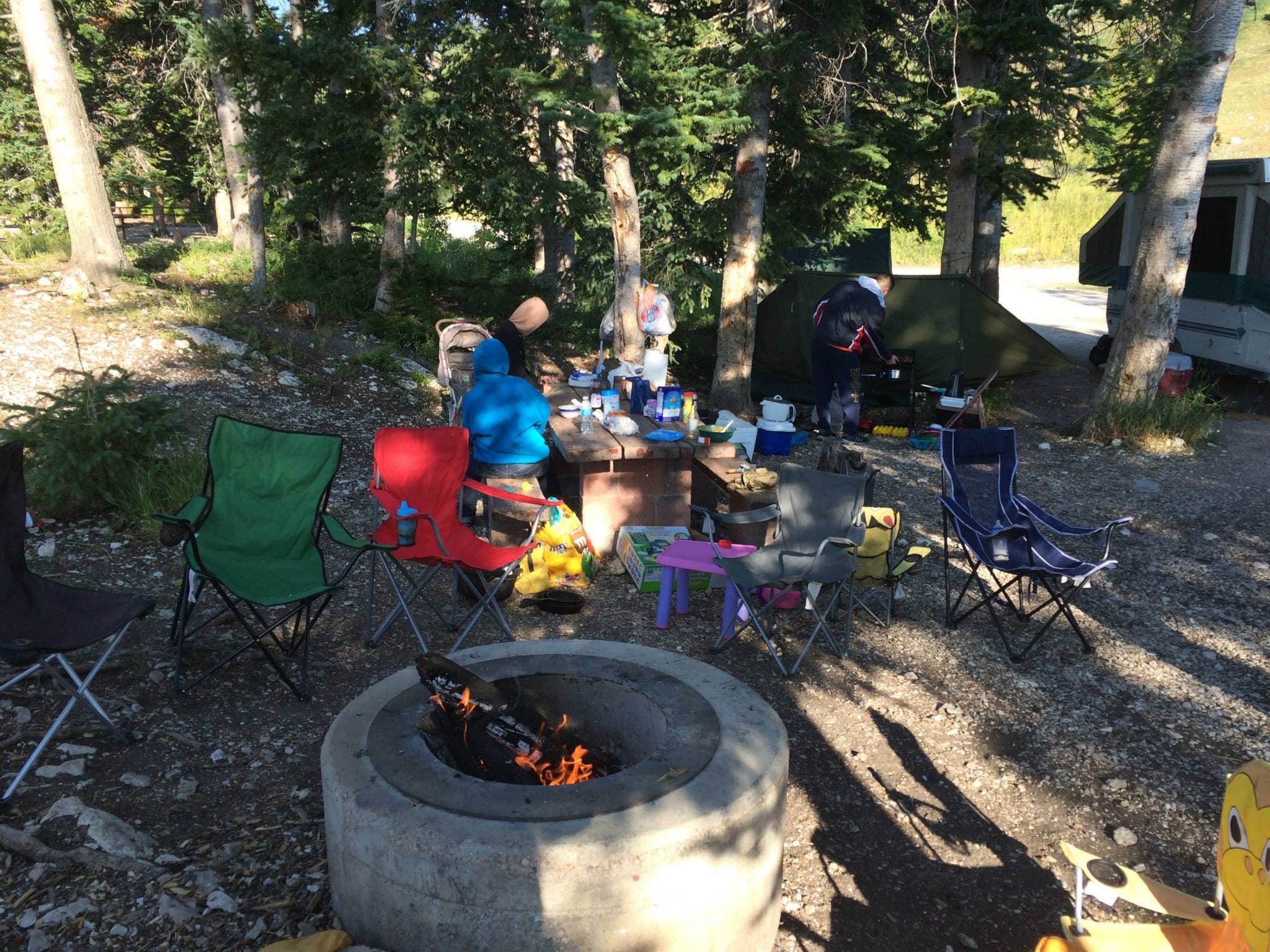 Camper submitted image from Ferron Canyon Campground - 2
