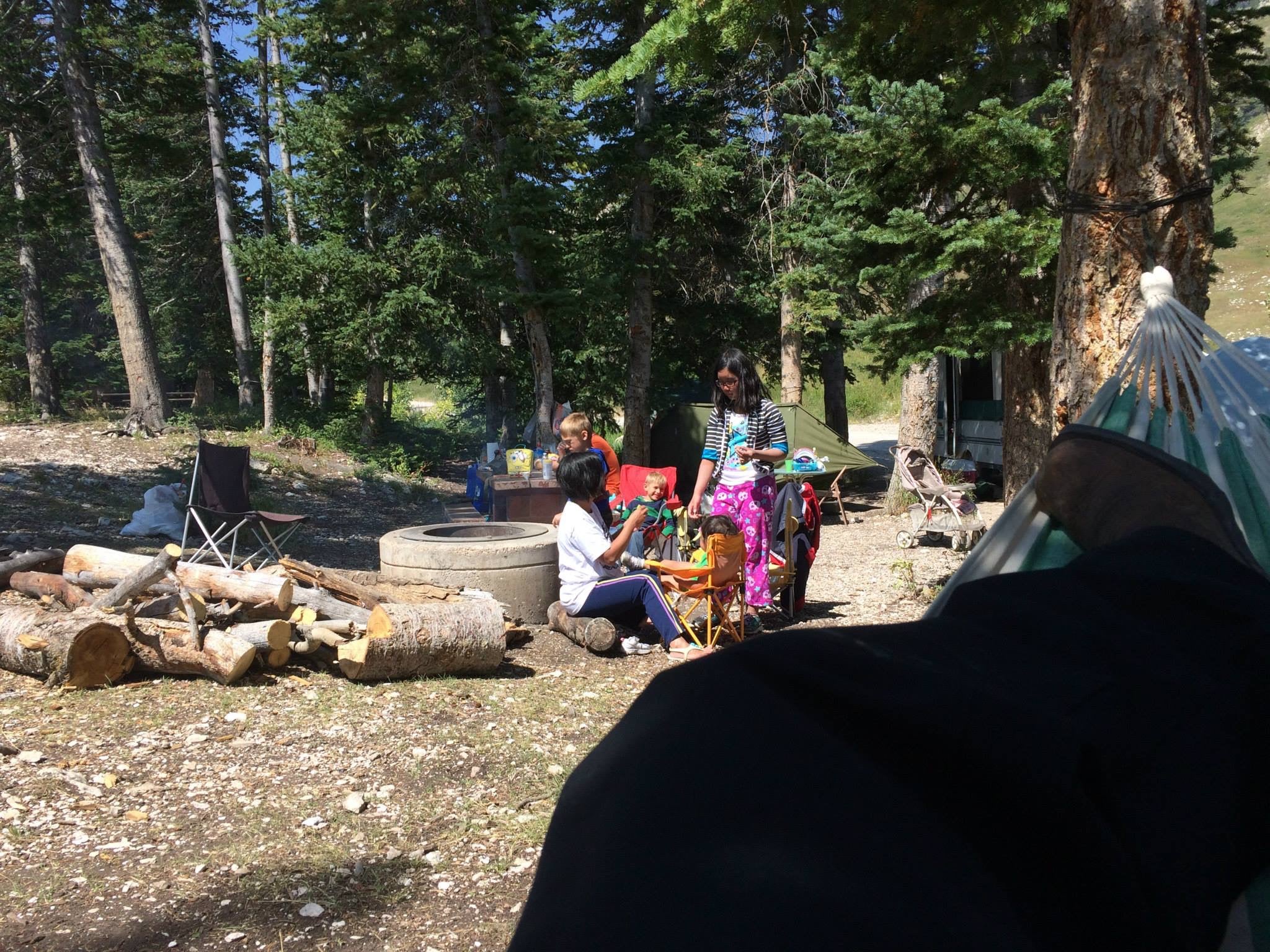 Camper submitted image from Ferron Canyon Campground - 1