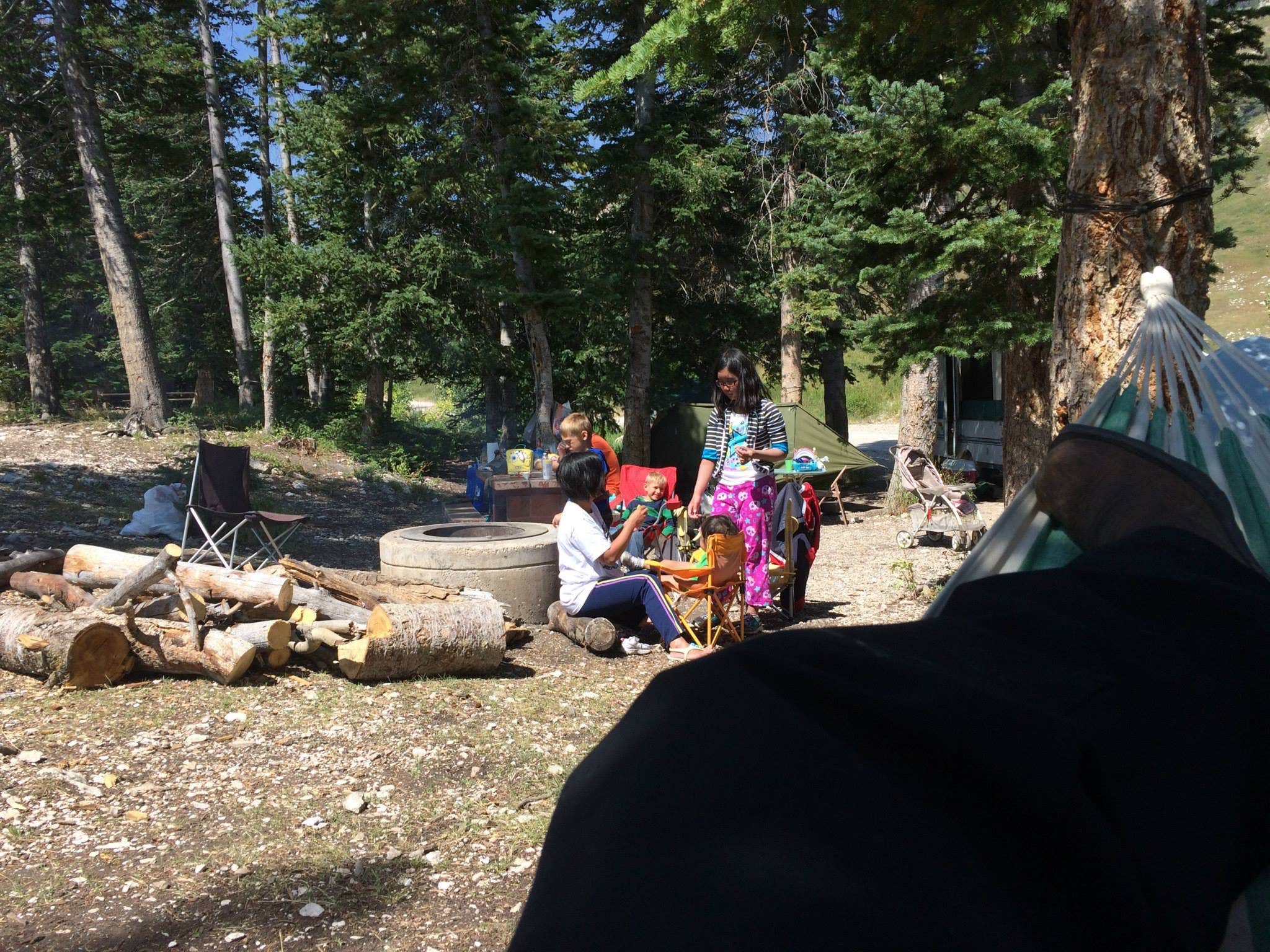 Camper submitted image from Ferron Canyon Campground - 1