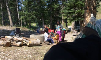 Camping near Willow Lake Fishing Camp Area: Ferron Canyon Campground, Ferron, Utah