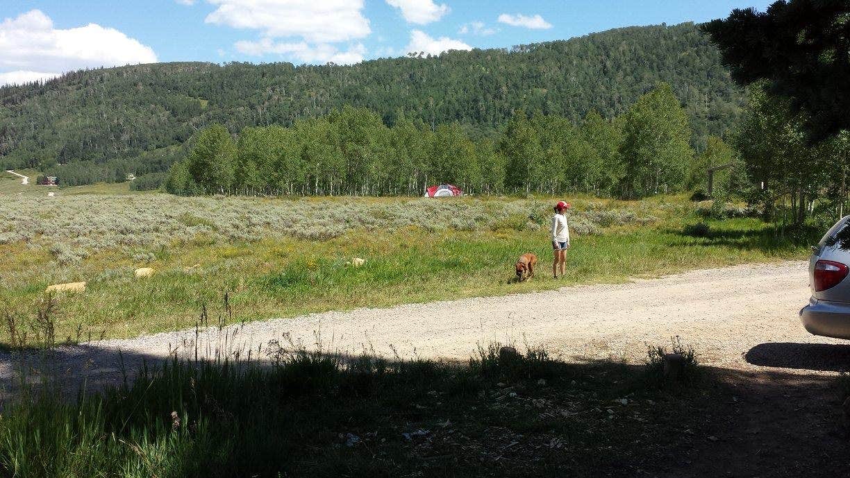 Derek E.'s photo of camping with pets at Gooseberry Creek Campground near Wellington, UT