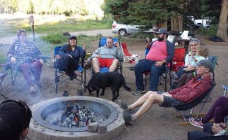 Derek E.'s photo of camping with pets at Gooseberry Creek Campground near Manti, UT