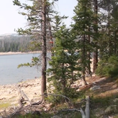 Review photo of Washington Lake Campground by Derek E., June 3, 2019