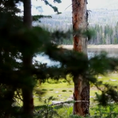 Review photo of Washington Lake Campground by Derek E., June 3, 2019