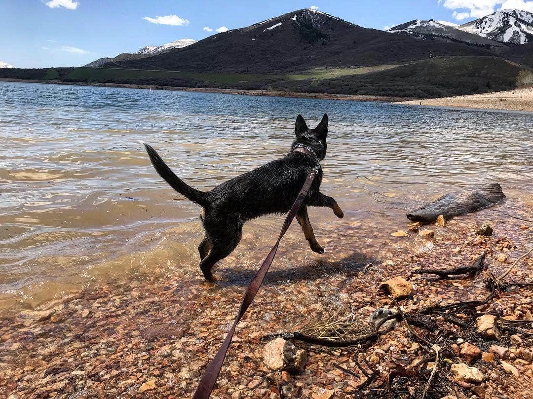 Camper-submitted photo at Hailstone - Upper Fisher Campground — Jordanelle State Park near Heber, UT
