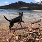 Review photo of Hailstone - Jordanelle State Park by Derek E., June 3, 2019