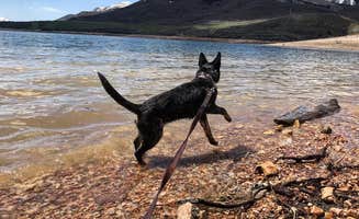 Derek E.'s photo of camping with pets at Hailstone - Upper Fisher Campground — Jordanelle State Park near Coalville, UT