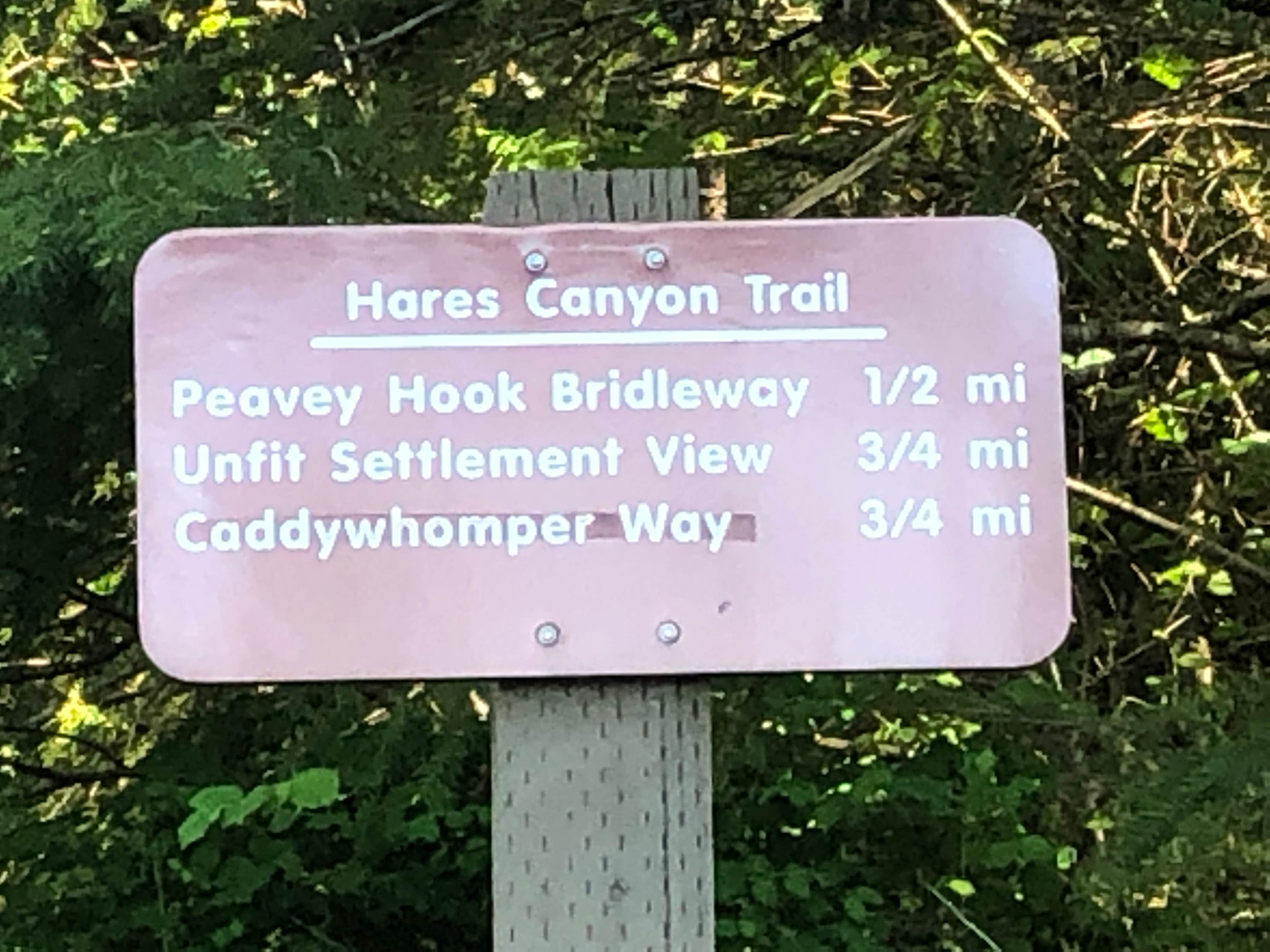 Camper-submitted photo at Hares Canyon Horse Camp — L.L. Stub Stewart Memorial State Park near Timber, OR