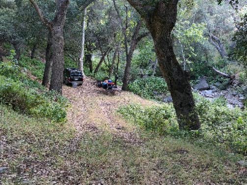 Camper submitted image from Brookshire Campground - 2
