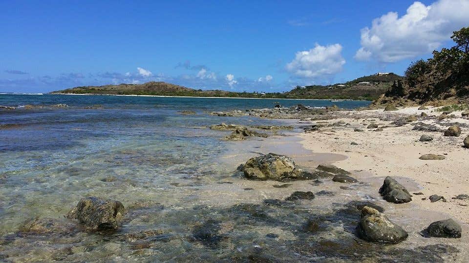 Camper submitted image from Maho Bay (CLOSED) - 4