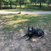 Review photo of Cathedral Caverns State Park Campground by Jessica B., June 3, 2019