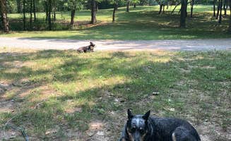 Jessica B.'s photo of camping with pets at Cathedral Caverns State Park Campground near Normal, AL