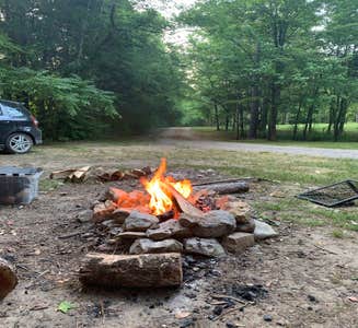 Camper-submitted photo from Cathedral Caverns State Park Campground