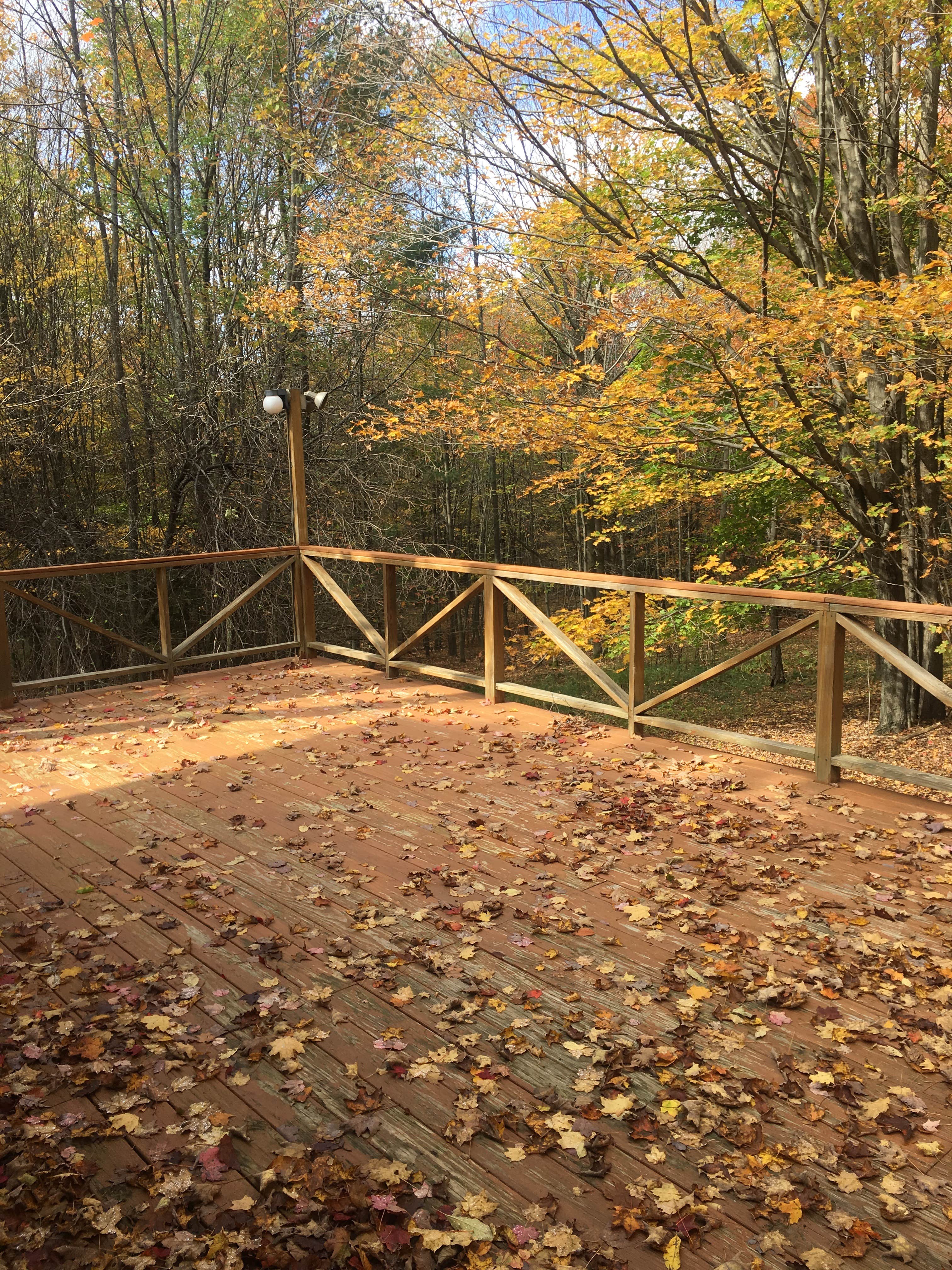 Camper submitted image from Harmony Hill Lodging and Retreat - 5