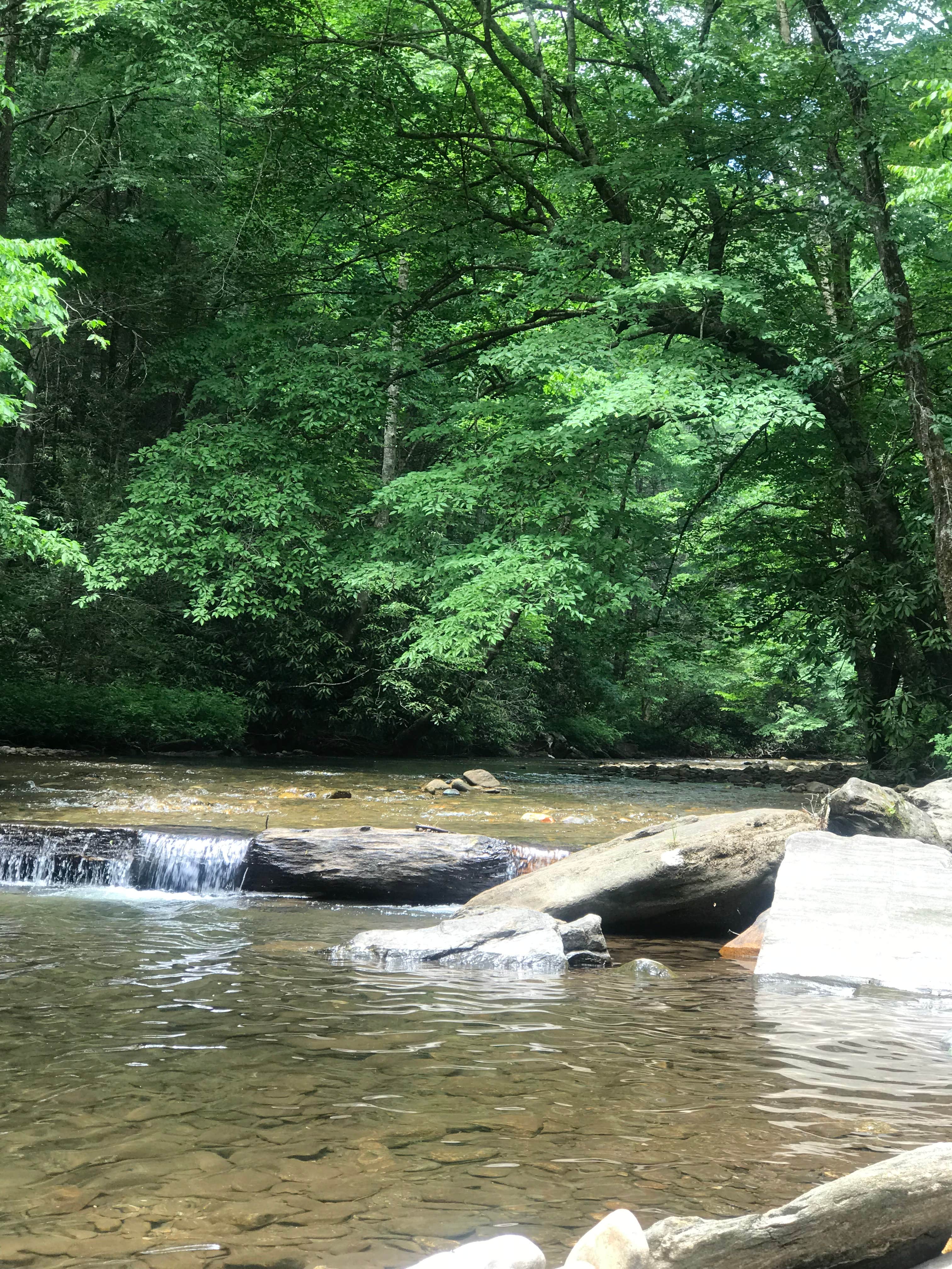 Camper submitted image from Sandy Bottoms Recreation Area Campground (Clayton, Ga) — Chattahoochee Oconee National Forest - 3