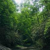 Review photo of Sandy Bottoms Recreation Area Campground (Clayton, Ga) — Chattahoochee Oconee National Forest by Bethany M., June 3, 2019