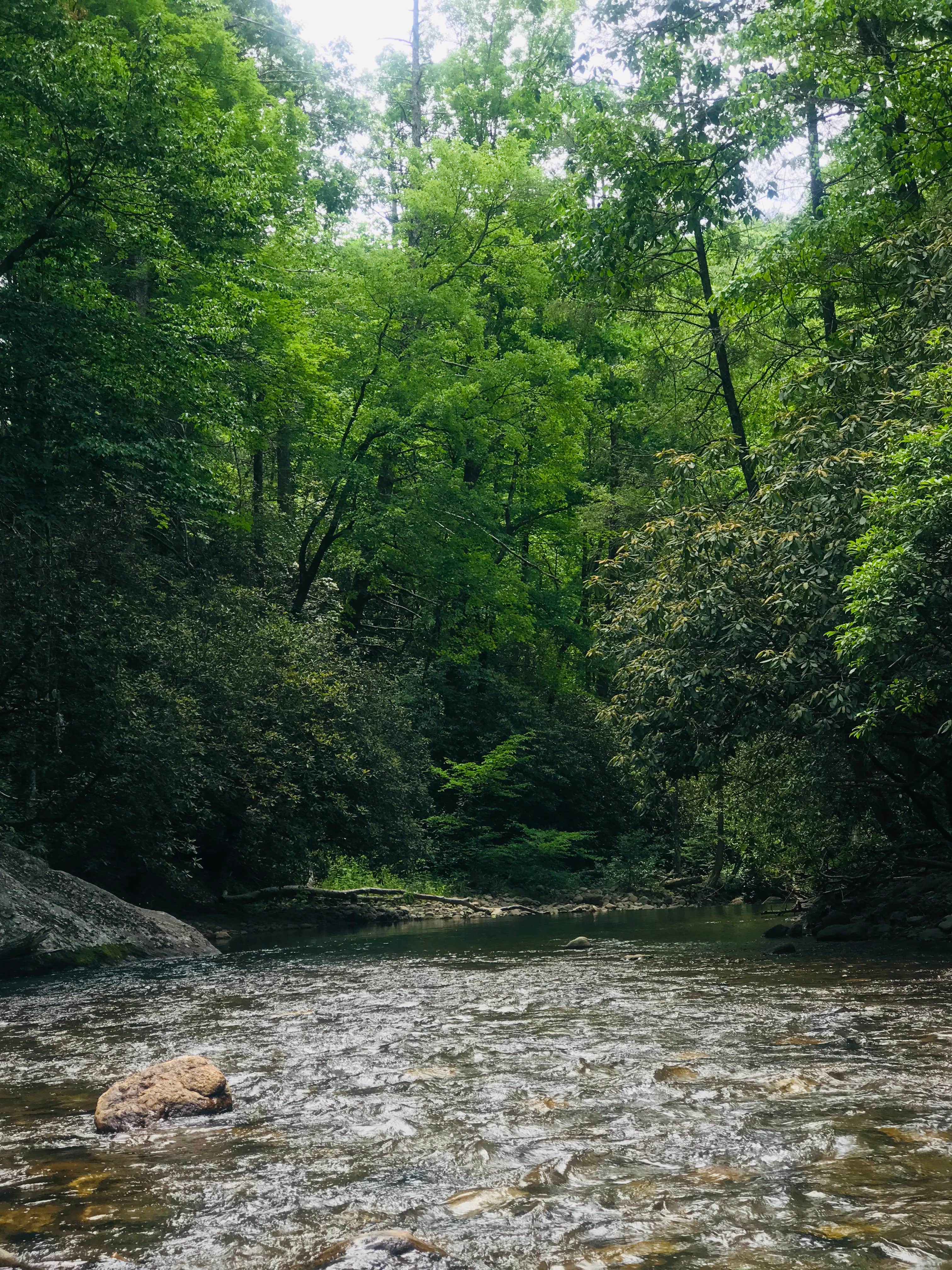 Camper submitted image from Sandy Bottoms Recreation Area Campground (Clayton, Ga) — Chattahoochee Oconee National Forest - 2