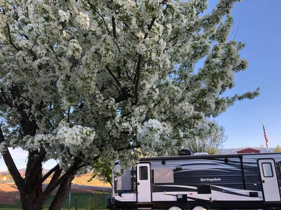Brad B.'s photo of rv camping at Thousand Lakes RV Park near Torrey, UT