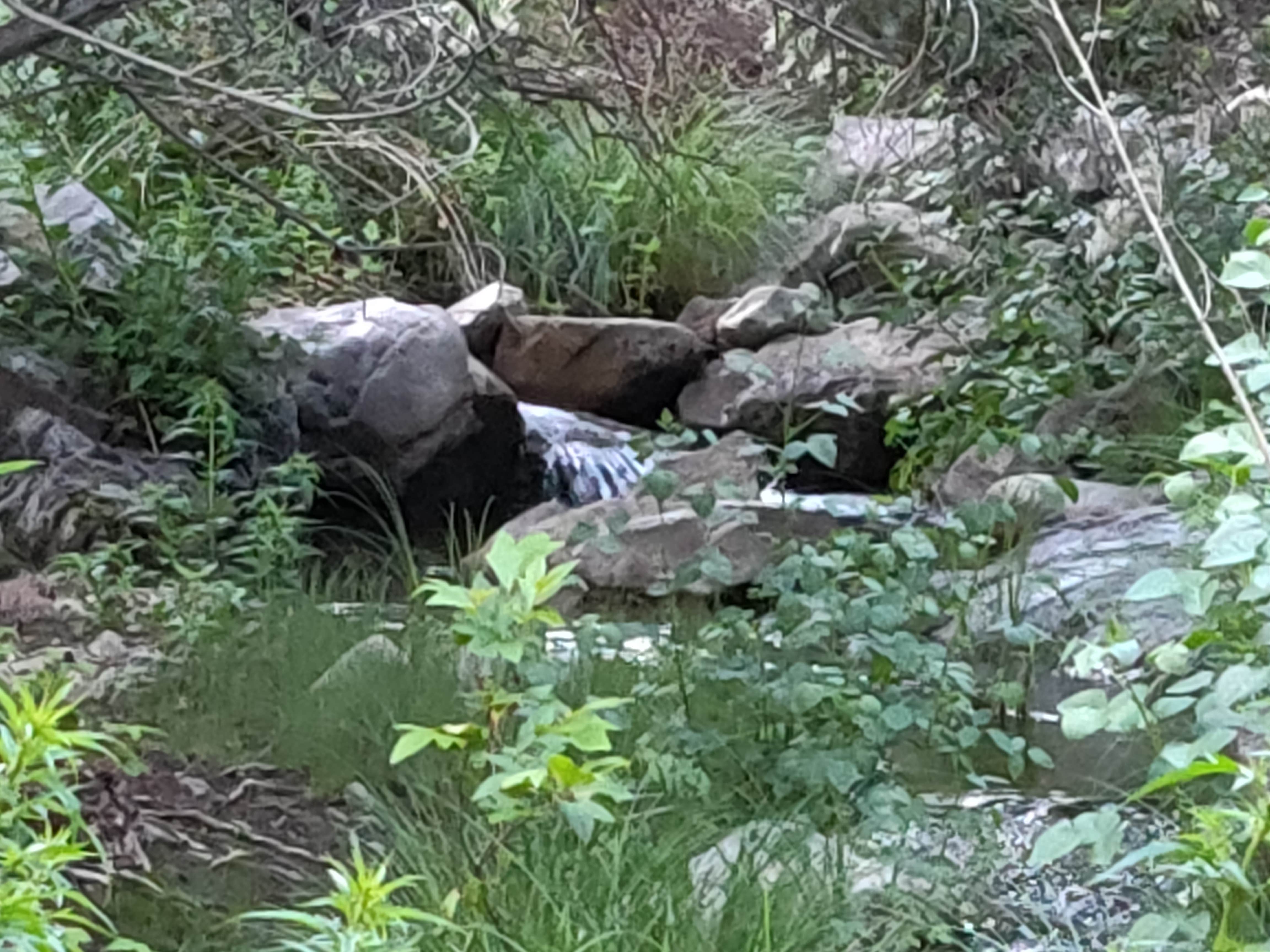 Nature