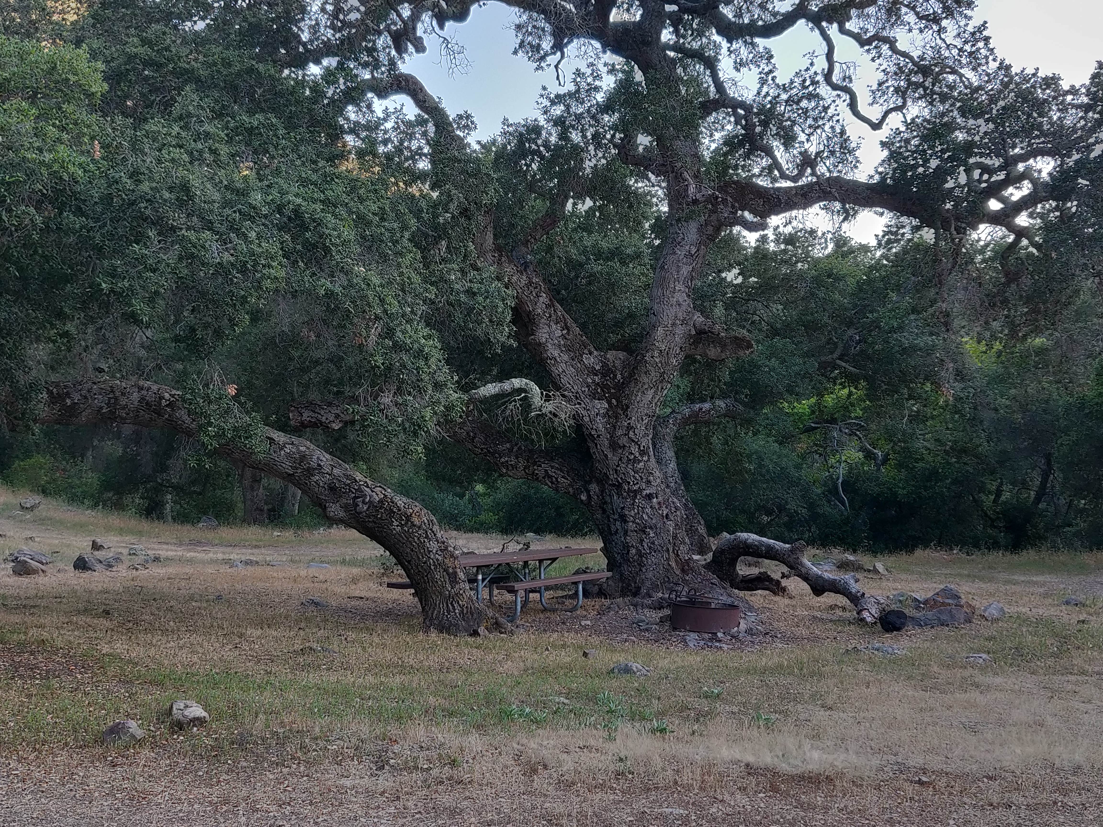 Camper-submitted photo at Brookshire Campground near Morro Bay, CA