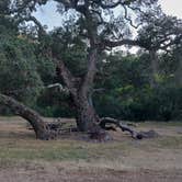 Review photo of Brookshire Campground by Ethan  S., June 3, 2019