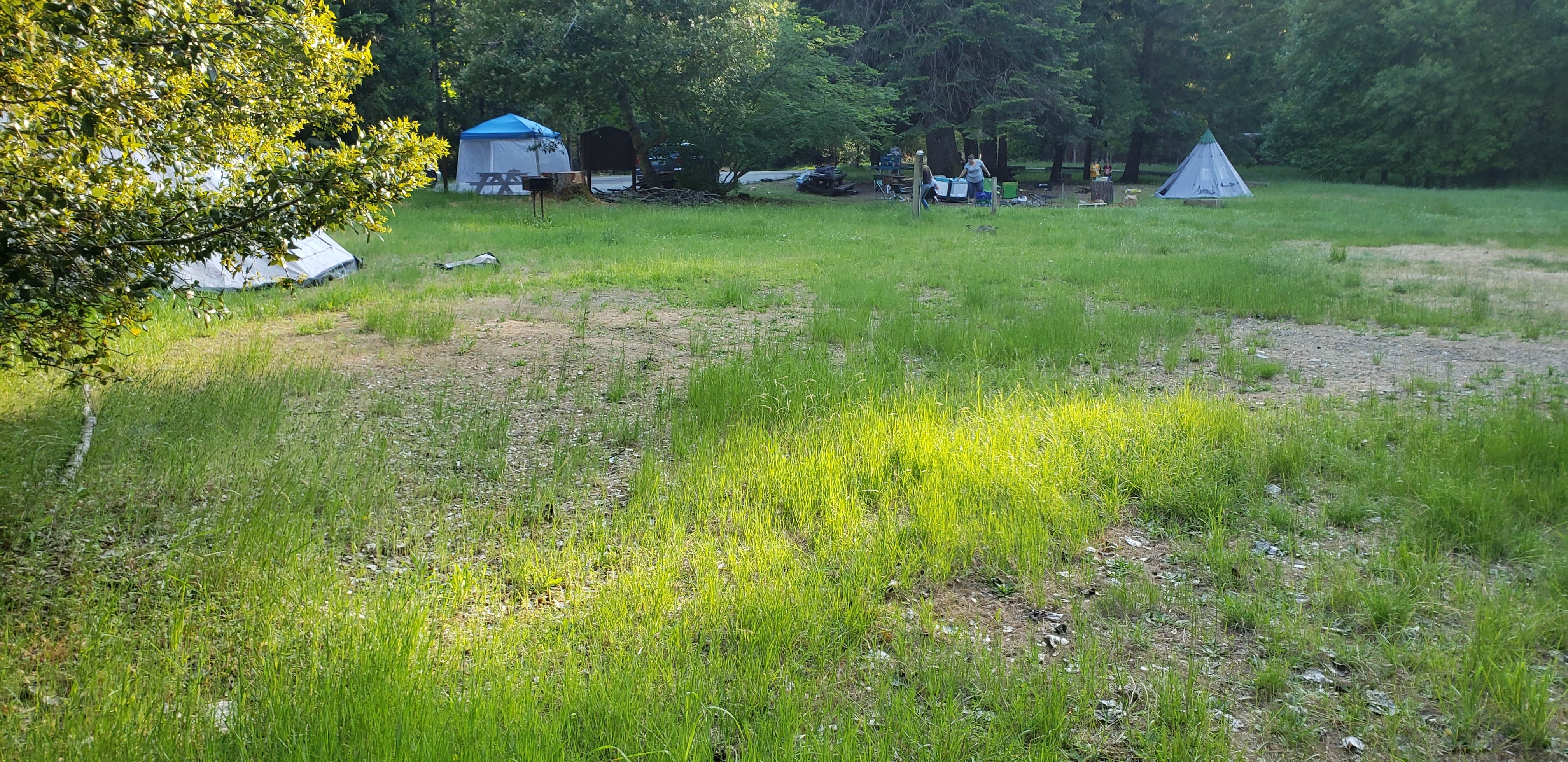 Siskiyou National Forest Chinquapin Group Campground Cave junction, OR