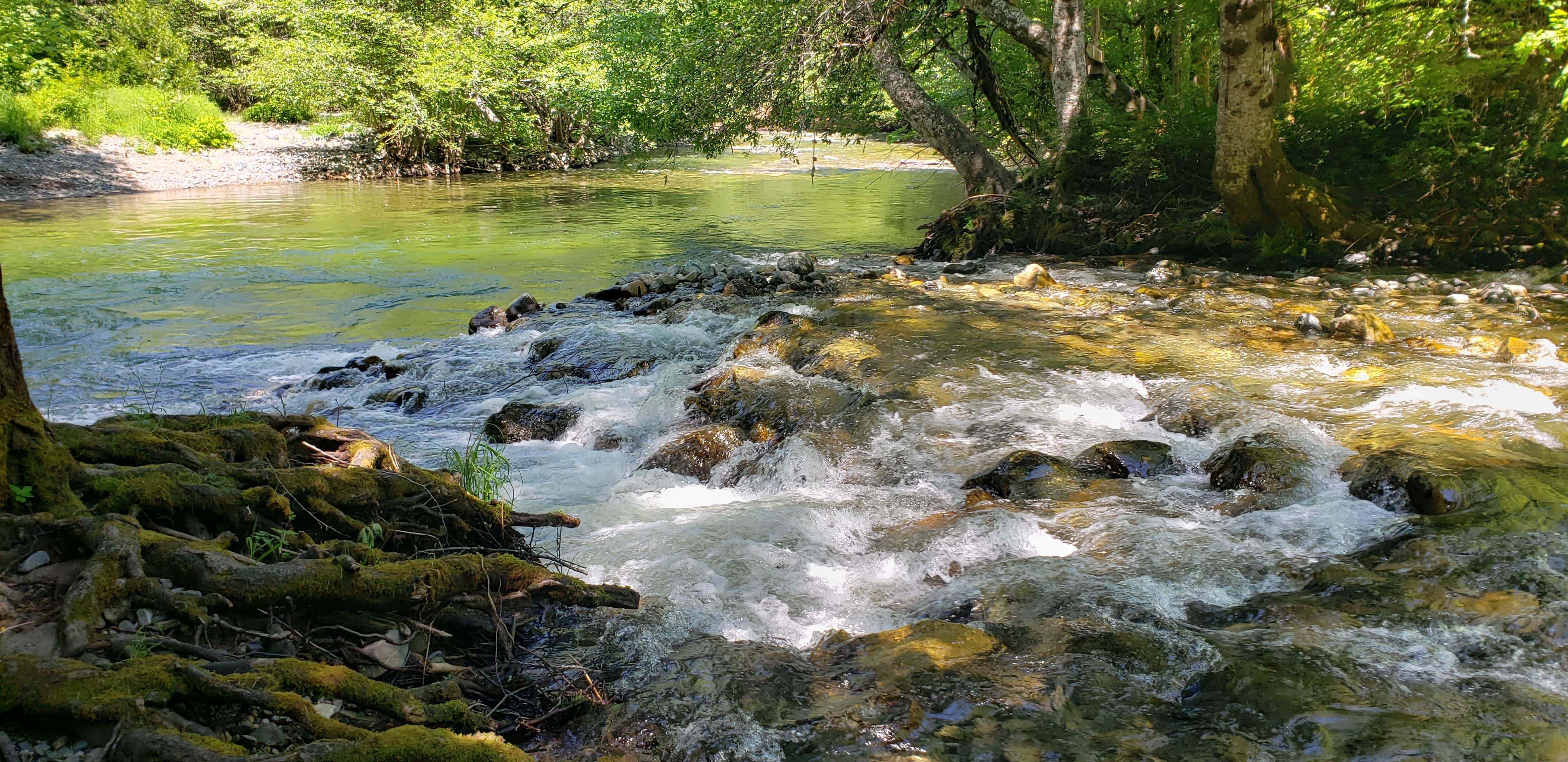 Camper submitted image from Siskiyou National Forest Chinquapin Group Campground - 5