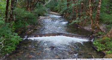 Chinquapin Group Campground