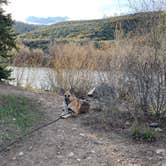 Review photo of Blue River Campground (Co) — White River National Forest by Zack D., June 3, 2019