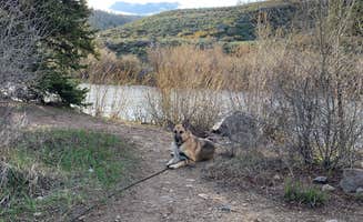Zack D.'s photo of camping with pets at Blue River Campground (Co) — White River National Forest near Vail, CO