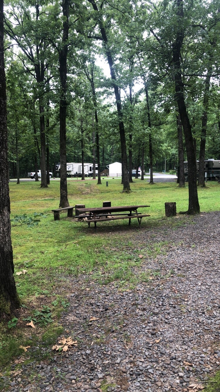 Camper submitted image from Burns Park - 1
