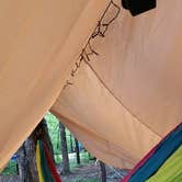 Review photo of Kentucky Horse Park Campground by Leah P., August 31, 2016