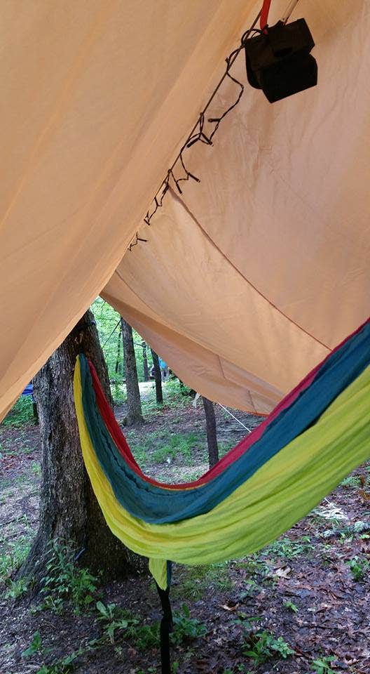 Camper submitted image from Kentucky Horse Park Campground - 5