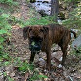 Review photo of Lake Chelan State Park Campground by Jason P., June 3, 2019